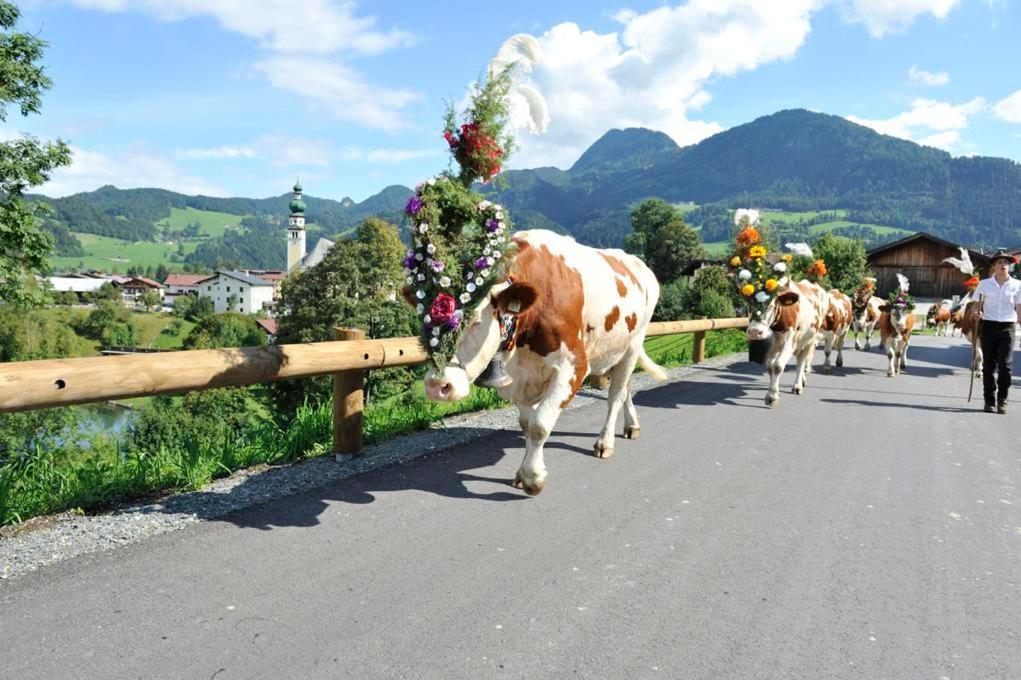 Bichlerhof Leilighet Radfeld Eksteriør bilde